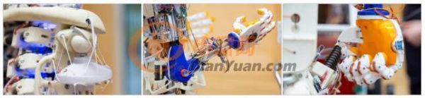 进博会展品抢先看，英飞凌携3D打印人形机器人Roboy 2.0首度亮相中国
